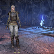 日本語版『エルダー・スクロールズ・オンライン』冒険日誌プレイレポ―タムリエルの世界を堪能！