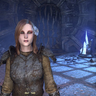 日本語版『エルダー・スクロールズ・オンライン』冒険日誌プレイレポ―タムリエルの世界を堪能！