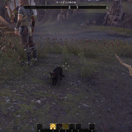 日本語版『エルダー・スクロールズ・オンライン』冒険日誌プレイレポ―タムリエルの世界を堪能！