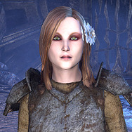 日本語版『エルダー・スクロールズ・オンライン』冒険日誌プレイレポ―タムリエルの世界を堪能！