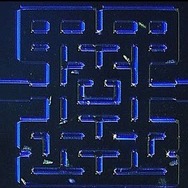 顕微鏡レベルで『パックマン』再現！―ノルウェーの大学による微生物研究