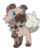 『ポケモン サン・ムーン』新たなポケモン判明…人なつこい“イワンコ”に、眠りっぱなしの“ネッコアラ”