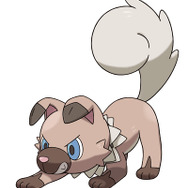 『ポケモン サン・ムーン』新たなポケモン判明…人なつこい“イワンコ”に、眠りっぱなしの“ネッコアラ”