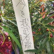 「傷物語」秋葉原で七夕イベント　神谷浩史、坂本真綾、花澤香菜らが願ったこととは？