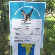 米動物園、『ポケモンGO』風のユニークな説明看板を作成…フラミンゴはCP140