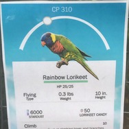 米動物園、『ポケモンGO』風のユニークな説明看板を作成…フラミンゴはCP140