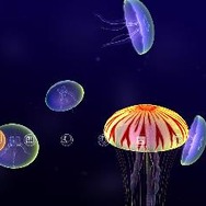 PS Plus、8月のフリープレイは『プリペル 忘却の砂』『ルミネス エレクトロニック シンフォニー』など、『戦国BASARA 真田幸村伝』トライアルも