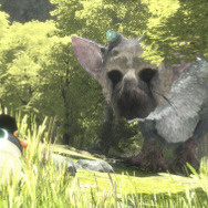 遺跡内部や森を写しだす『人喰いの大鷲トリコ』最新スクリーンショット公開！