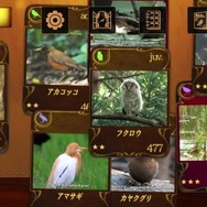 動く野鳥図鑑アプリ『動く 野鳥コレクション』リリース！これで今日から野鳥博士？