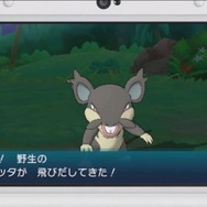 『ポケモン サン・ムーン』アローラ地方の「コラッタ」は黒い!他にもポケモン固有のZワザが公開、購入特典も