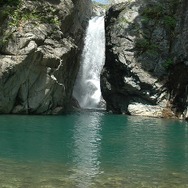 フィッシュアイズWii