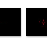 『Fate/EXTELLA』コラボモデルのPS4/PS Vitaが登場！ ワダアルコ描き下ろしのネロやアルトリアを刻印