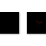 『Fate/EXTELLA』コラボモデルのPS4/PS Vitaが登場！ ワダアルコ描き下ろしのネロやアルトリアを刻印