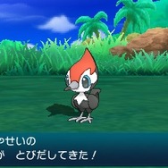 【プレイレポート】『ポケモン サン・ムーン』特別体験版で一足先にアローラ地方を冒険！ゲッコウガやピカチュウが大活躍