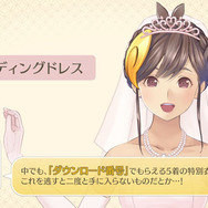 『めがみめぐり』限定版の魅力をツクモが紹介する映像公開！ 「これからも“結婚”しましょうね」