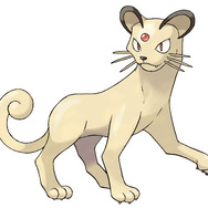 『ポケモン サン・ムーン』アローラの「ペルシアン」は超美形！？パートナー候補の最終進化形や守り神ポケモンの情報が公開