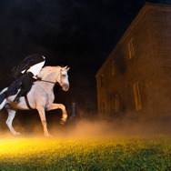 そもそも「ハロウィン」の起源って？駐日アイルランド大使がコメント