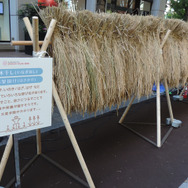 【レポート】『とびだせ どうぶつの森』が出展する「ジャパンハーヴェスト 2016」でトラクタに乗ってきた