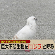 あの名シーンを再現！？「シン・ゴジラ」デジカメで撮れるダイナミックフォトが公開