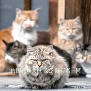 あの名シーンを再現！？「シン・ゴジラ」デジカメで撮れるダイナミックフォトが公開