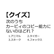 【クイズ】GAMEMANIA！：総合問題2 ― 次のうち、カービィのコピー能力にないのはどれ？