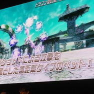 【セガフェス】『PSO2』は新情報だらけ！ 待望の☆14武器登場、来春に対人要素「バトルアリーナ」実装…ドラゴン型の新ペットや「しまむら」コラボの新展開も