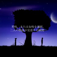 Wii U『ブルームーン2』11月30日配信、月明りの夜を歩む神秘的なADV