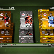 FIFA 09 ワールドクラス サッカー