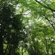 TVアニメ「有頂天家族2」成功祈願イベント開催決定！主要キャスト陣や二代目役の声優も参加予定