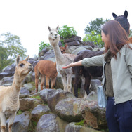 【特集】女子はアルパカ牧場でゲームをキャプれるか―秋の那須高原へ