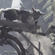 『人喰いの大鷲トリコ』プレイレポ―無償の愛に心震え、涙が止まらない