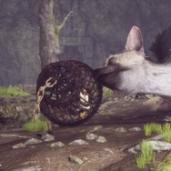 『人喰いの大鷲トリコ』プレイレポ―無償の愛に心震え、涙が止まらない