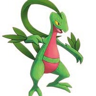 ポケモン不思議のダンジョン 空の探検隊