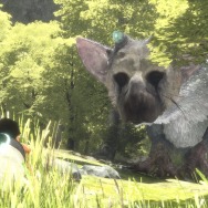 海外レビューハイスコア『人喰いの大鷲トリコ』