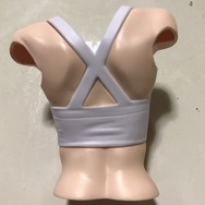 【日々気まぐレポ】第178回 フィギュアライズバスト「ホシノ・フミナ」発売！一手間かけて自分だけの先輩に