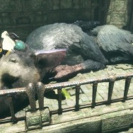 【週刊インサイド】『シャドウバース』「バハムート降臨」の新カードに興味津々…『スーパーマリオラン』やUSJの新エリアなど任天堂の動きにも注目