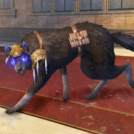 『よるのないくに2』心と感情を捨てた冷徹な刺客 「ヴェルーシュカ」登場、新たな従魔も明らかに