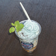 【レポート】ジョイポリスで『バイオ7』の世界に迷い込む…選択と探索がカギの新アトラクションを体験