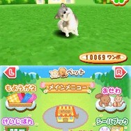 まちのペット屋さんDS2 〜ワンニャン333匹大集合〜