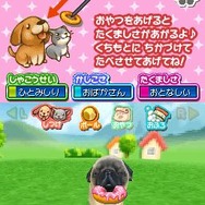 まちのペット屋さんDS2 〜ワンニャン333匹大集合〜