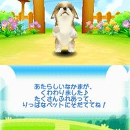 まちのペット屋さんDS2 〜ワンニャン333匹大集合〜