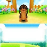 まちのペット屋さんDS2 〜ワンニャン333匹大集合〜