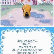 まちのペット屋さんDS2 〜ワンニャン333匹大集合〜