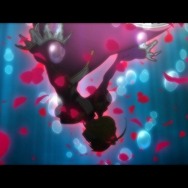 (C)TYPE-MOON/Marvelous, Aniplex, Notes, SHAFT