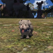 『FFXIV: 蒼天のイシュガルド』Patch 3.5“宿命の果て”新情報第2弾公開！