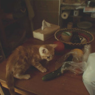 『GRAVITY DAZE 2』重力“猫”が世界を反転!? 乃木坂46・伊藤万理華が「空に落ちる」新PV映像をお披露目