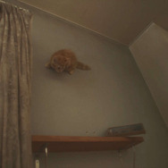 『GRAVITY DAZE 2』重力“猫”が世界を反転!? 乃木坂46・伊藤万理華が「空に落ちる」新PV映像をお披露目