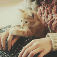 『GRAVITY DAZE 2』重力“猫”が世界を反転!? 乃木坂46・伊藤万理華が「空に落ちる」新PV映像をお披露目