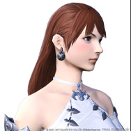 『FFXIV:紅蓮のリベレーター』予約開始！通常版に加え豪華特典付きのコレクターズエディションも登場