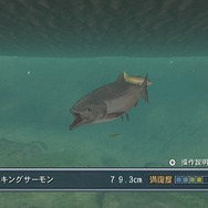 フィッシュアイズWii